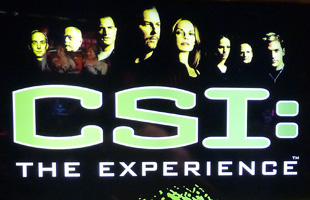 CSI : The Experience